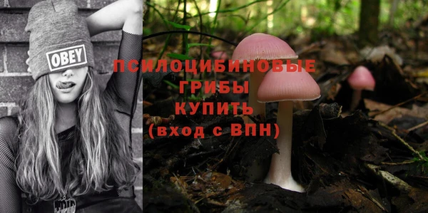 МДМА Осинники