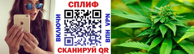 Канабис сатива  как найти   blacksprut сайт  Бородино 